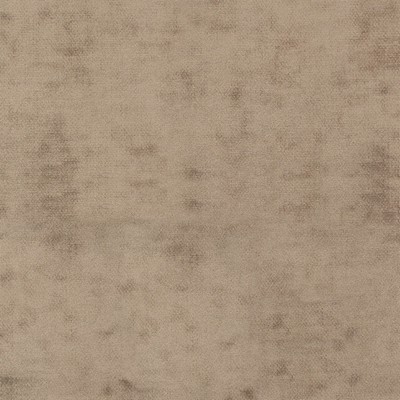 Silver State Cloud Nine Mink